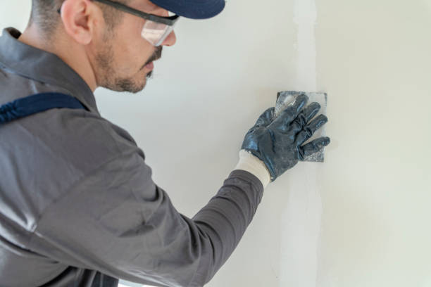 Best Mold Damage Restoration  in Summit Park, UT