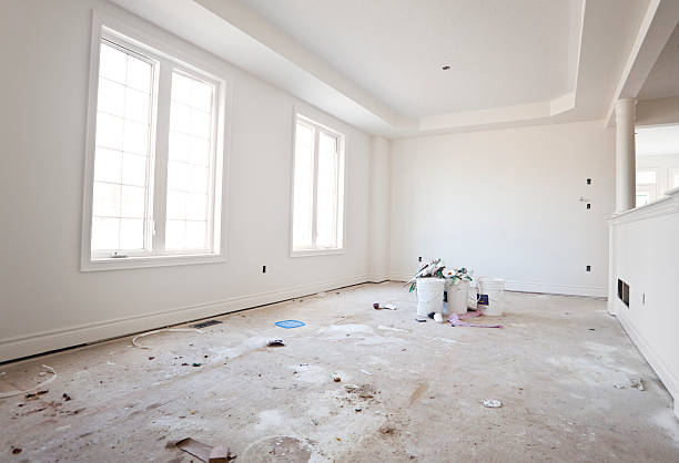 Best Basement Mold Removal  in Summit Park, UT
