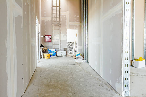Mold Documentation for Insurance Claims in Summit Park, UT